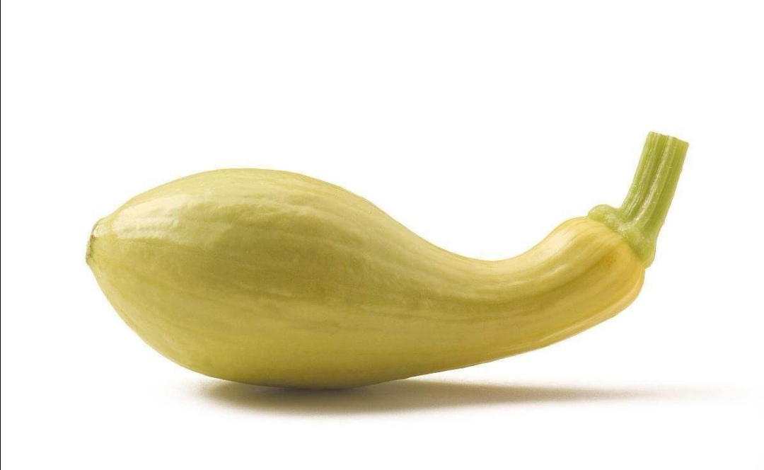 SQ03 F1.jpg